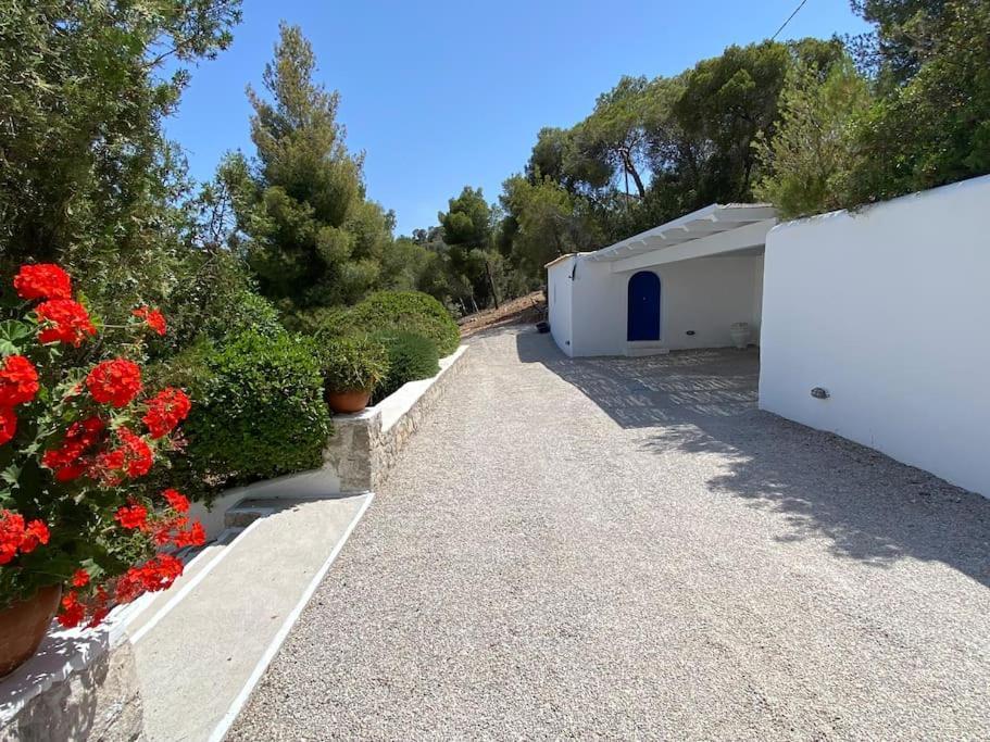 Retreat Villa By The Sea With Pool In 포르토헬리 외부 사진